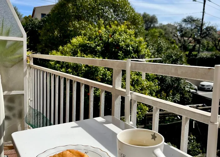 Apartment 2p 50m2 With Ac & Free Parking & 2 Balconies Antibes